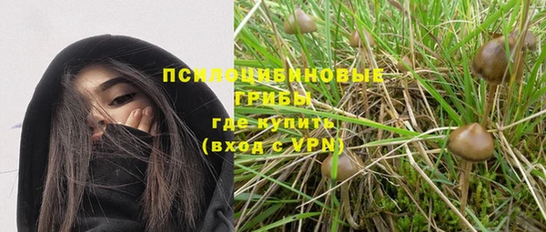 дмт Вязники