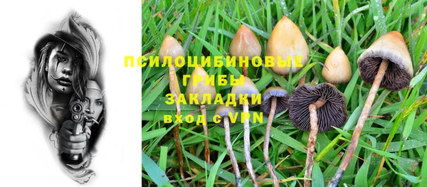крисы Вяземский