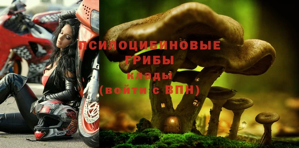 винт Володарск